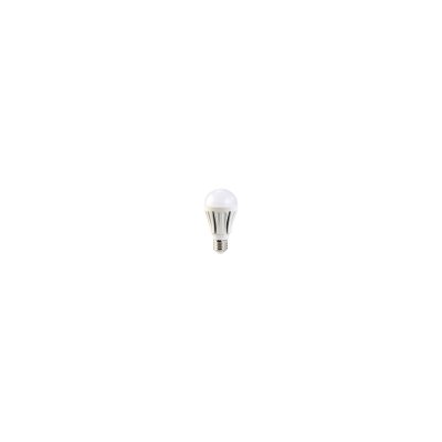 Ampoule LED supra-puissante 12 W, culot E27, blanc chaud