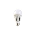 Ampoule LED supra-puissante 12 W, culot E27, blanc chaud