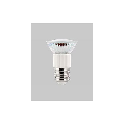 Ampoule 60 LED SMD E27 3,3 W - blanc chaud