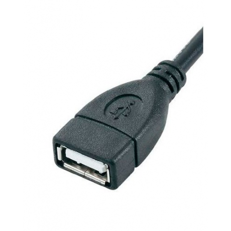 Câble USB Femelle Type A vers Mini USB mâle - 0,2 m