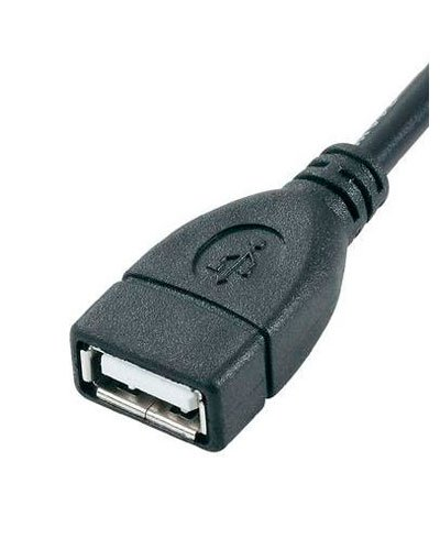 Câble USB Femelle Type A vers Mini USB mâle - 0,2 m