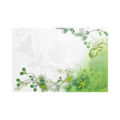 Décoration adhésive pour ordinateur portable motif floral vert