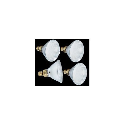4 Ampoules Par38 60 LED E27 blanc chaud