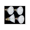 4 Ampoules Par38 60 LED E27 blanc chaud