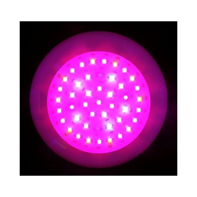 Lampe de culture à 45 LED Hi-Power 2W