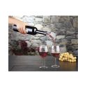 Décanteur bouteille à vin avec filtre pour aérer le vin