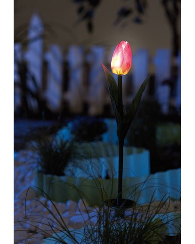 2 Tulipes lumineuses à LED fonctionnant à l'énergie solaire
