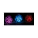 3 Roses lumineuses pour piscine ou plan d'eau - LED à couleur changeante