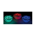 3 Roses lumineuses pour piscine ou plan d'eau - LED à couleur changeante