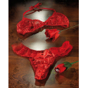 Ensemble dessous sexy - Soutien-gorge Bonnet B + culotte rouge en dentelle - Taille universelle