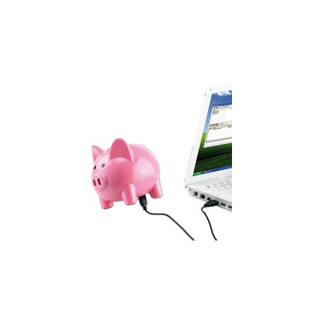 Tirelire Cochon musicale USB