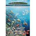 Puzzle phosphorescent Beauté sous-marine - 500 pièces