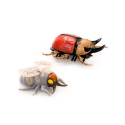 2 Insectes de combat - Scarabée et pinces oreilles - Legend Of Nara