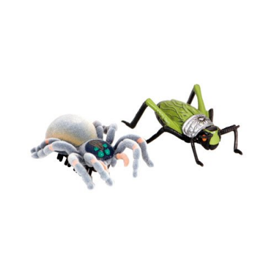 2 Insectes de combat - Araignée et Sauterelle - Legend Of Nara