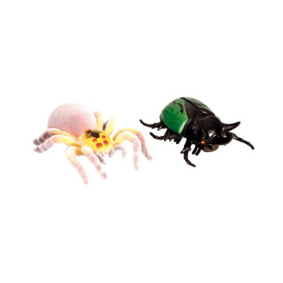 2 Insectes de combat - Mygale et Coléoptère - Legend Of Nara