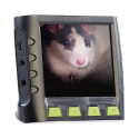 Caméra endoscopique HD sans fil avec Écran LCD couleur 8,9 cm