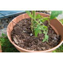 Système de micro-irrigation avec10 pointes d'arrosage et un seul branchement