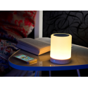 Lampe led d'ambiance rgb enceinte bluetooth intégrée auvisio