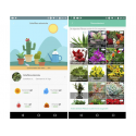 Capteur pour plantes analyse lumière et humidité app